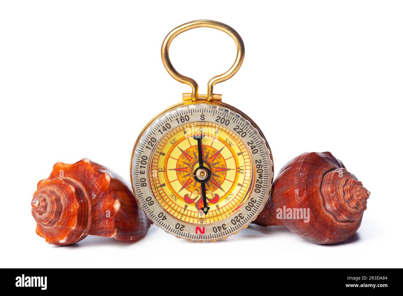 sea shells and old compass with sand isolated on white background Stock ...
