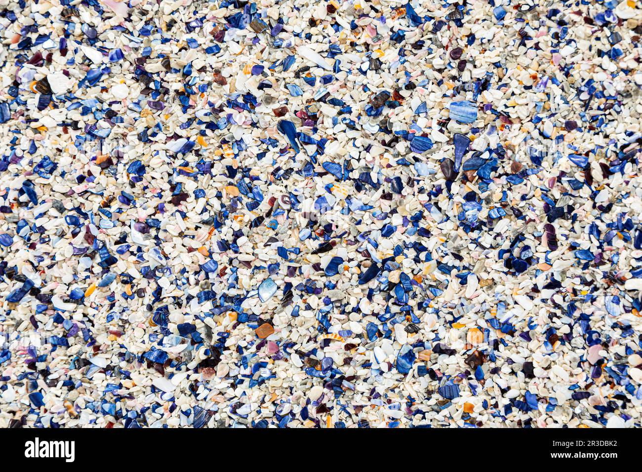 Broken Mussel shells washed up on a beach Stock Photo Alamy
