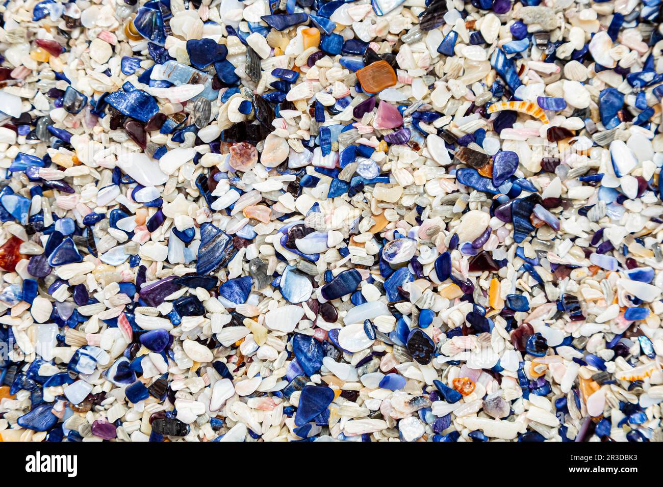 Broken Mussel shells washed up on a beach Stock Photo Alamy