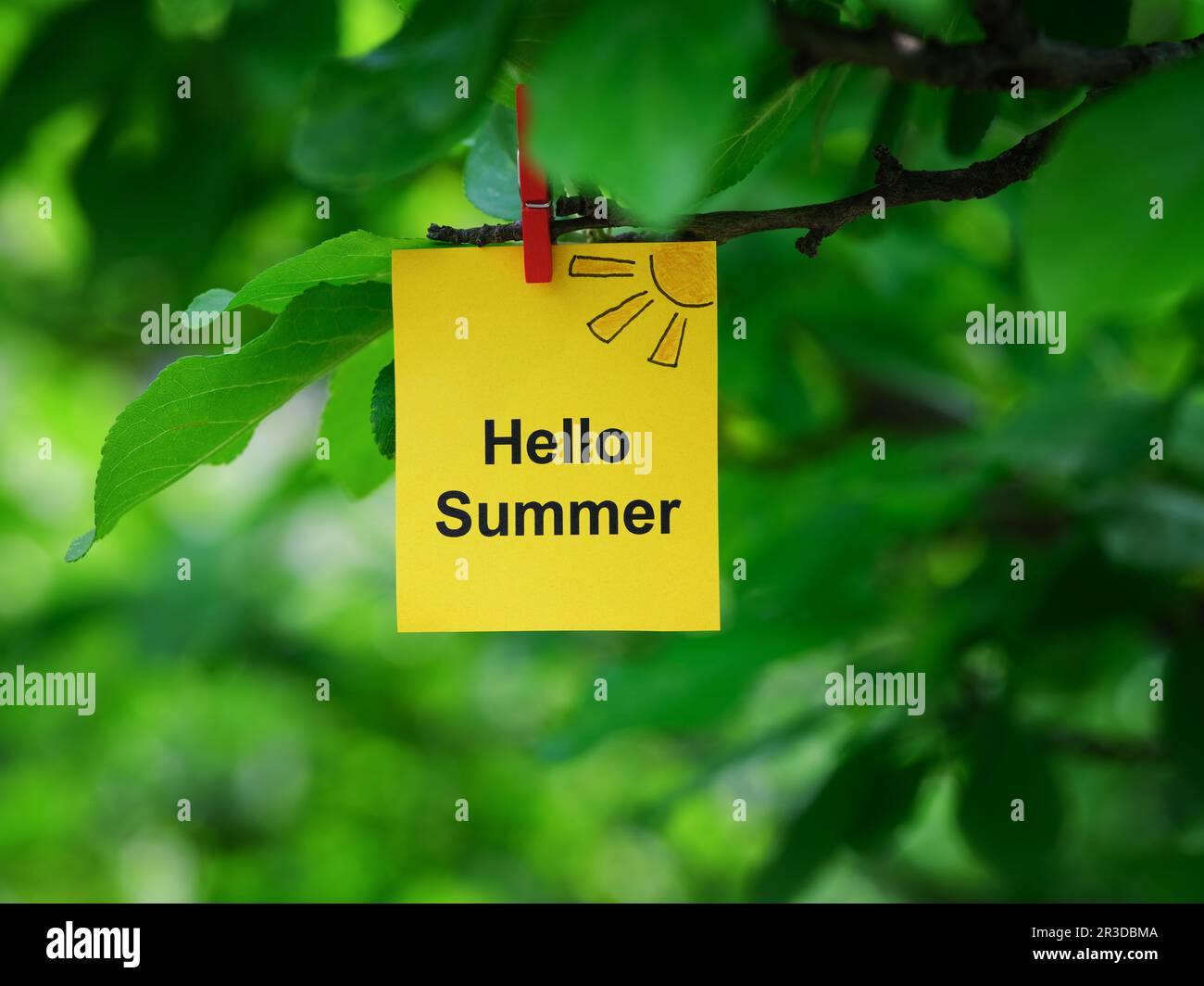 A yellow paper note with the words Hello Summer on it attached to a tree branch with a clothes pin. Close up. Stock Photo