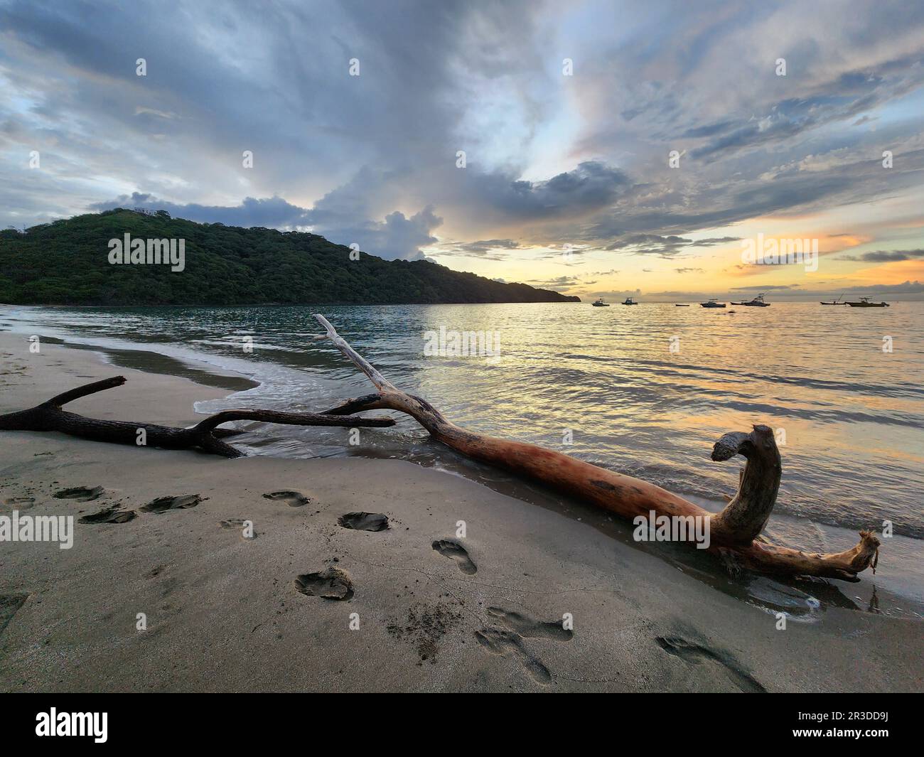 Piece of wood on tropical beach with dramatic sunset background Stock Photo