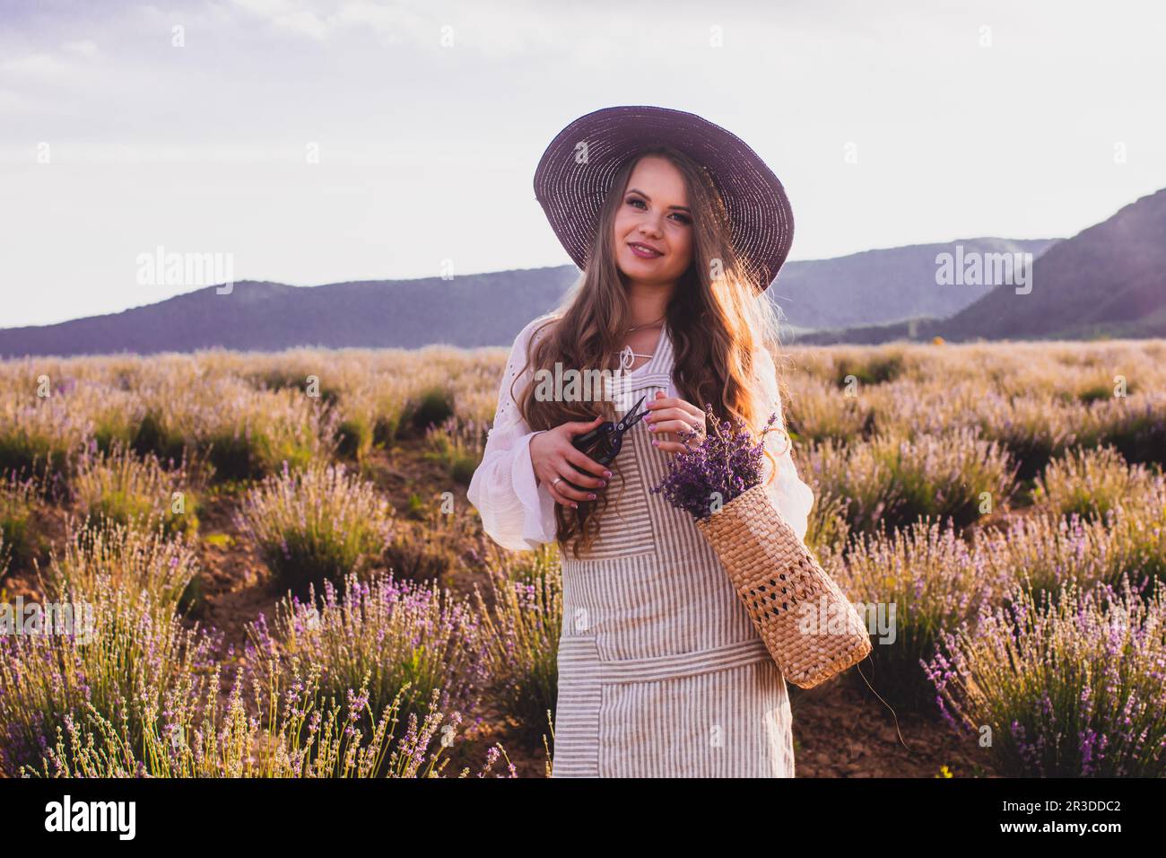 The beautiful girl is morally resting picking lavender on a plantation Stock Photo