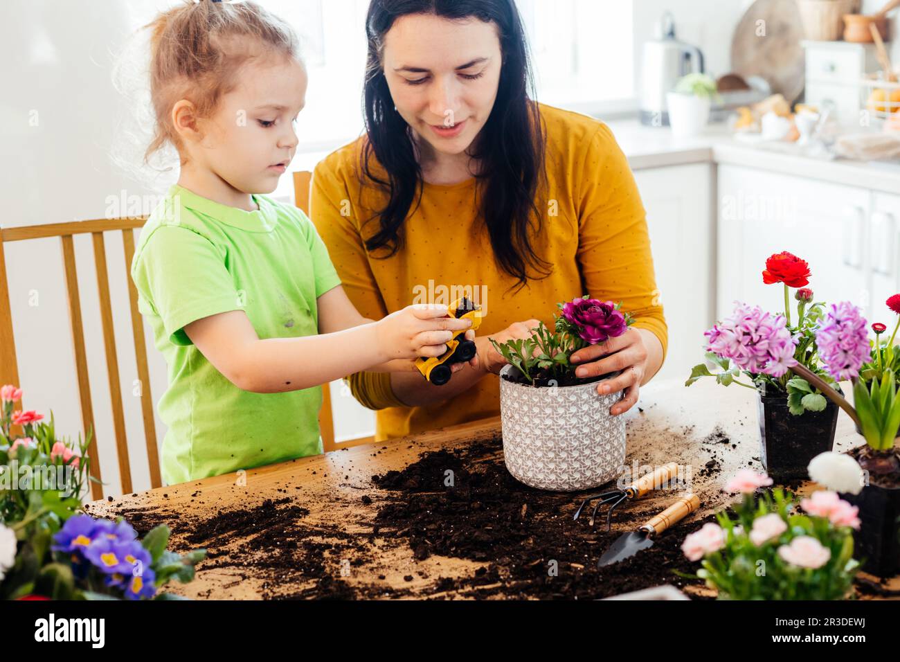 Adding some game elements into learning process Stock Photo Alamy