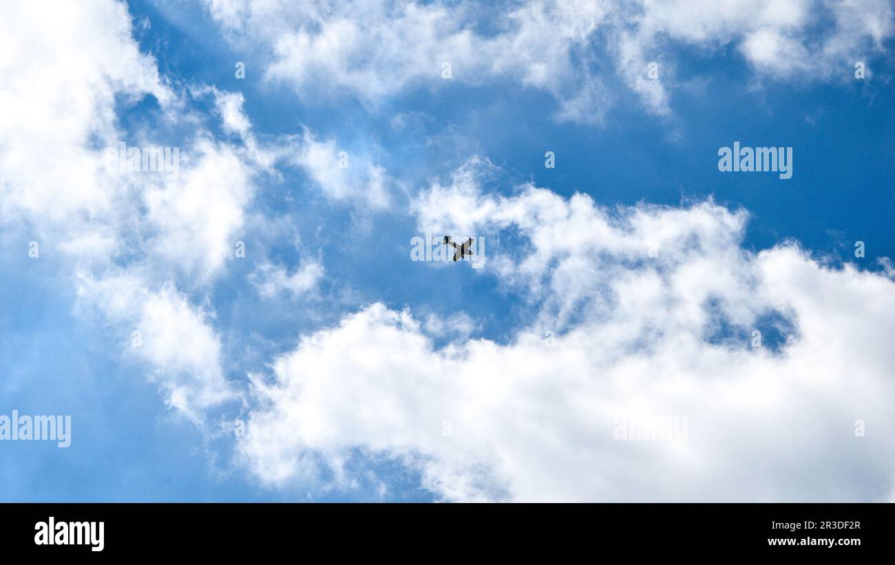 Airplane flying in the blue sky on background of white clouds, rear view. Twin-engine commercial plane during the turn, vacation Stock Photo