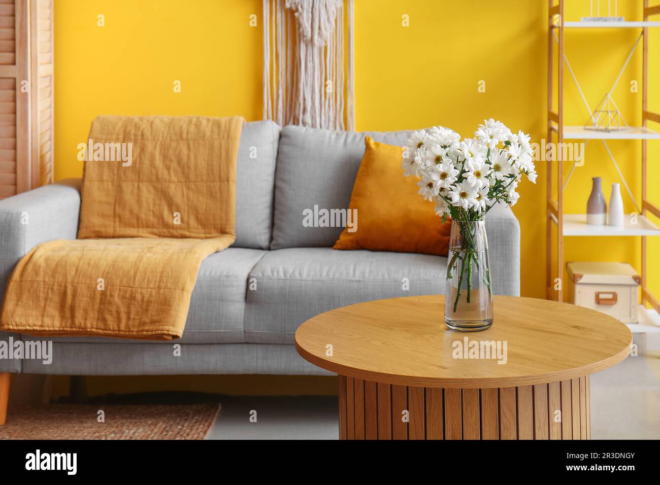 Vase with blooming chrysanthemum flowers on coffee table in interior of living room Stock Photo