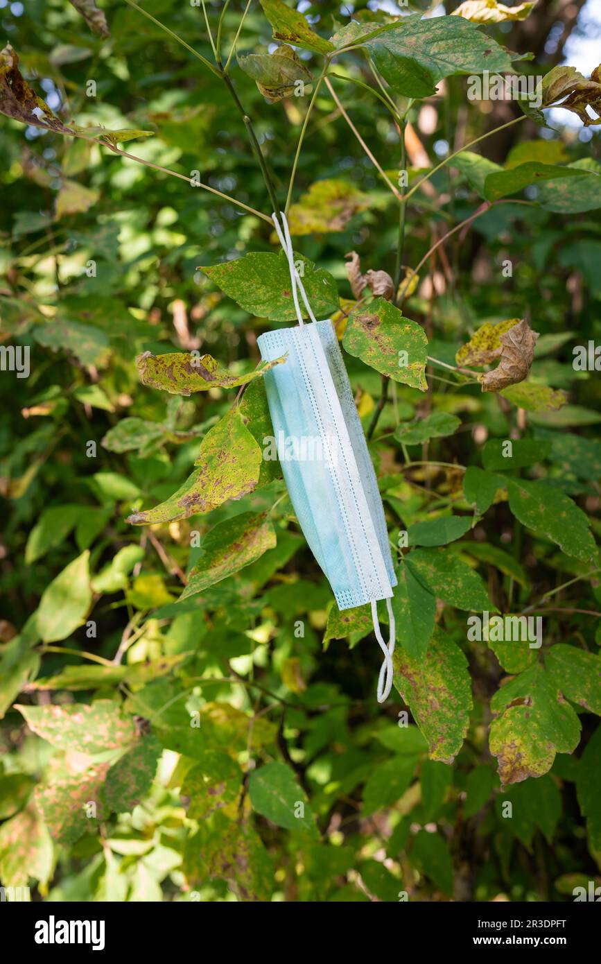 People litter the garbage with used medical masks, throw into the cracks of the bushes
