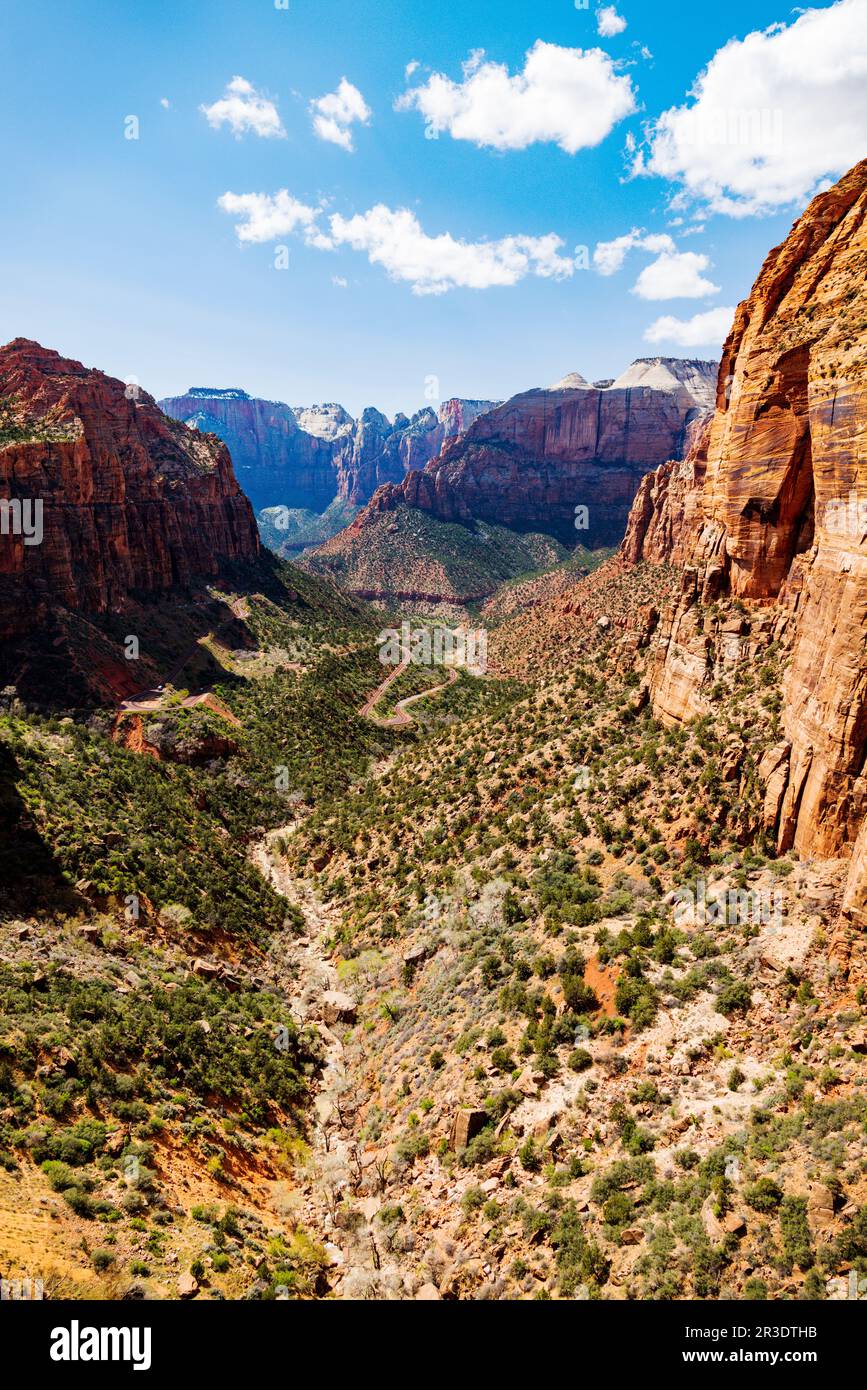 View from top of Canyon Overlook Trail; Zion National Park; Utah; USA Stock Photo
