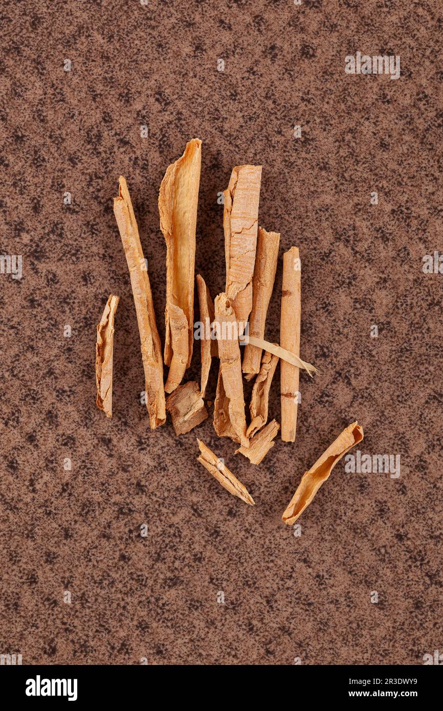 Tabernaemontana sananho hires stock photography and images Alamy