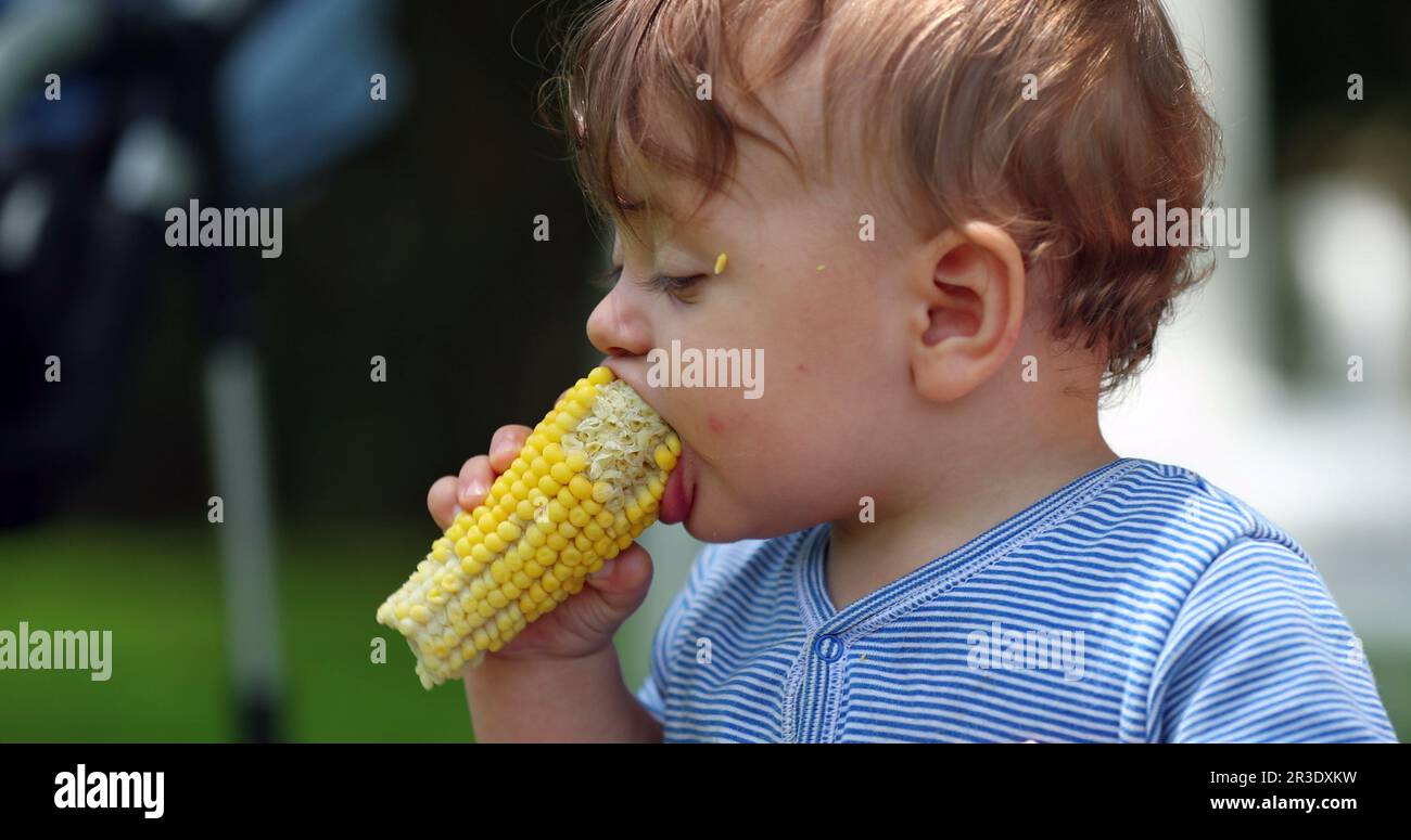Cute baby eating corn cob outside Stock Photo Alamy