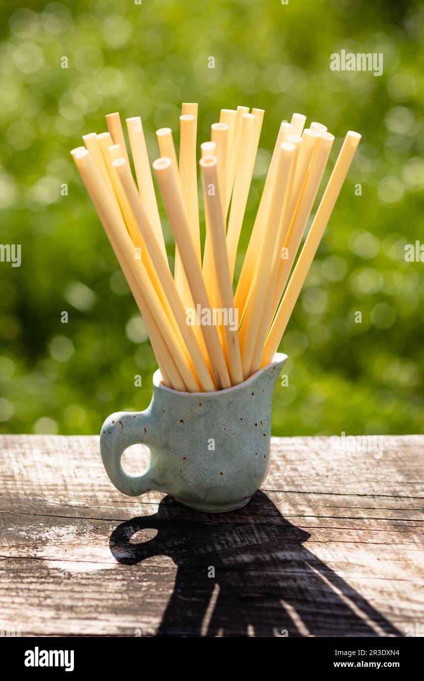 Biodegradable compostable natural straws, made from cane Stock Photo
