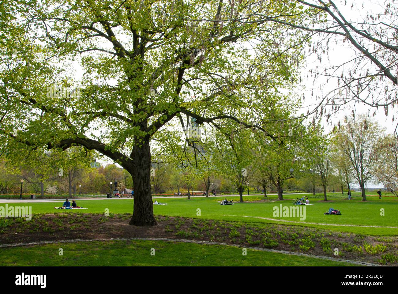 Majors park hi-res stock photography and images - Alamy