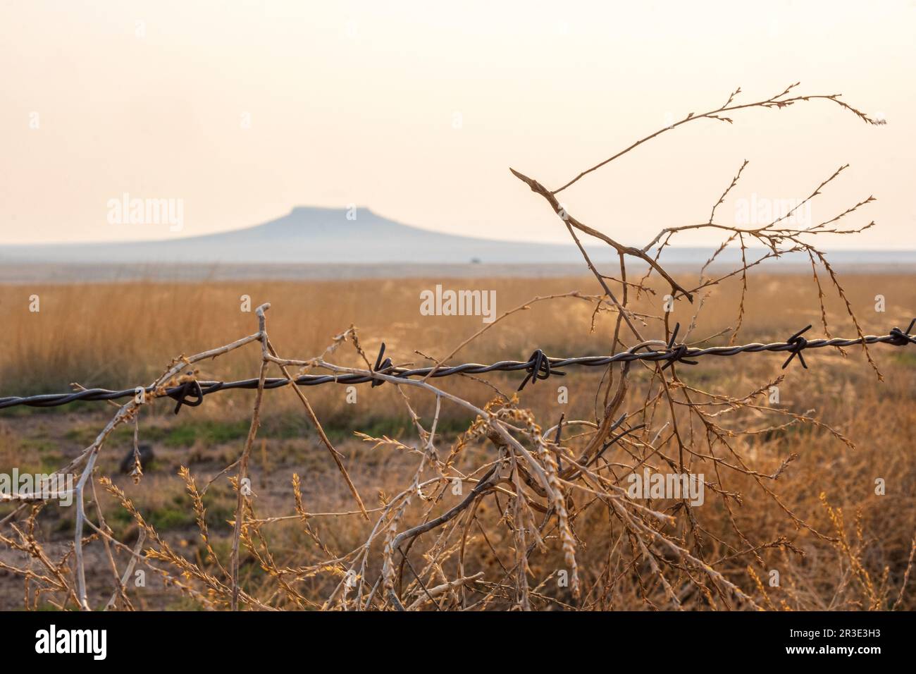 Barbed wire fence near Clayton, New Mexico, USA Stock Photo
