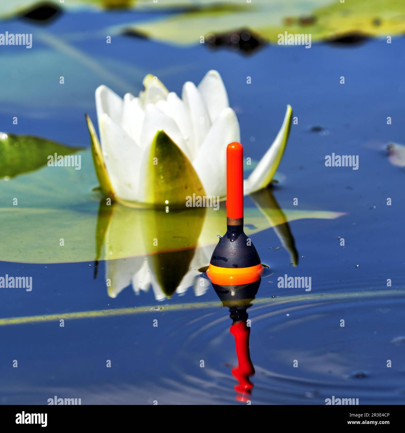 Cork fishing float hi-res stock photography and images - Alamy