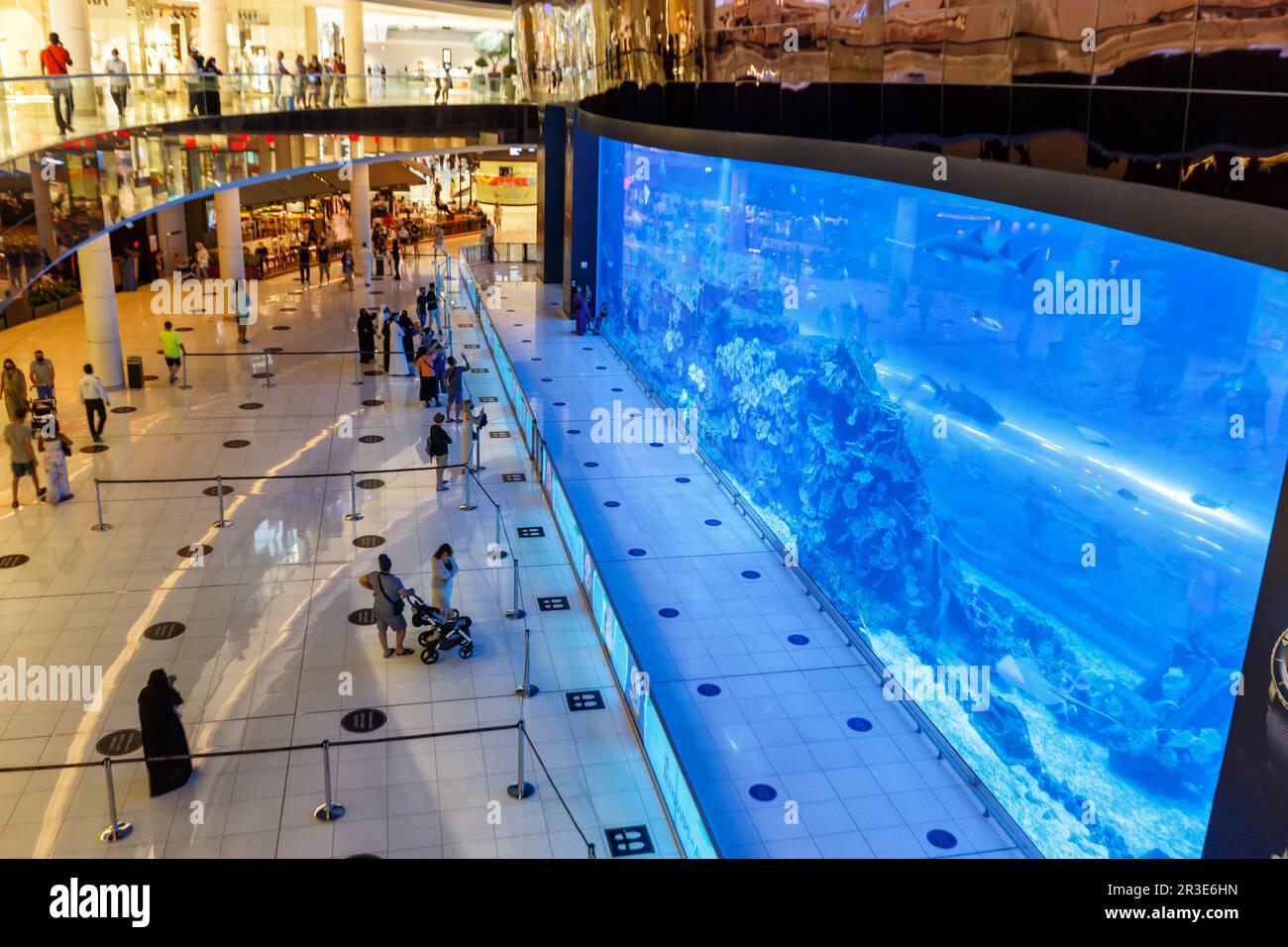Dubai Mall Aquarium Luxury Shopping Shopping in United Arab Emirates