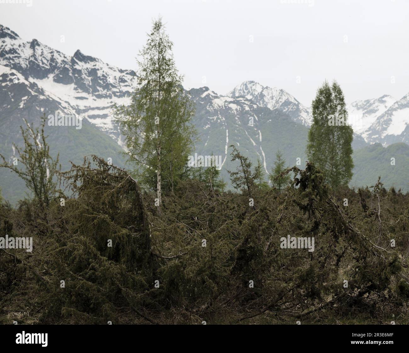 Panorama of the Maritime Alps, Cuneo, Piedmont, Italy Stock Photo