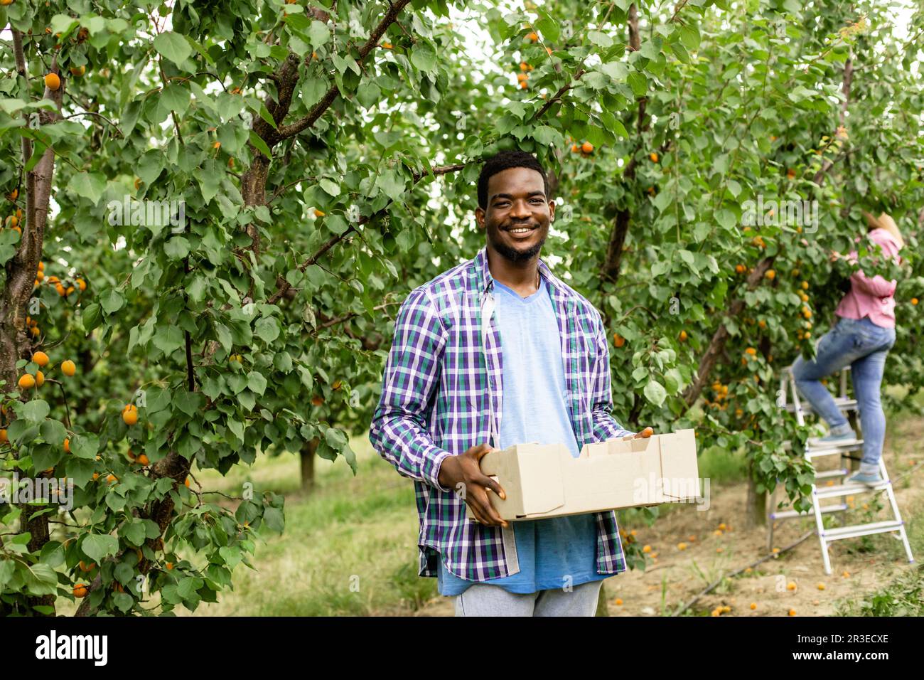 Multiracial coworkers at the fruit farm. Woman man with baskets full
