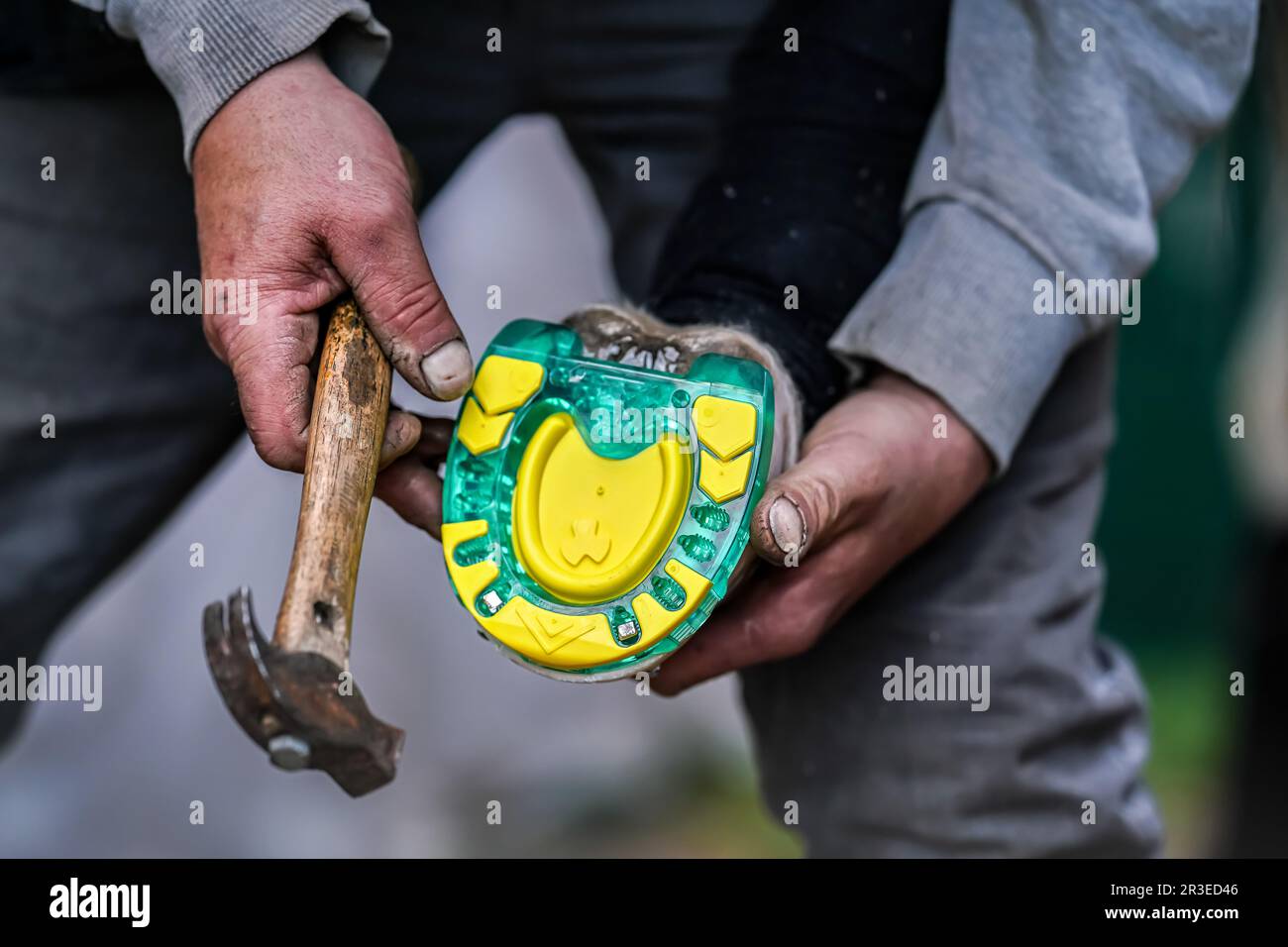 Man farrier installing plastic horseshoe to hoof. Closeup up detail to hands holding animal feet and hammer Stock Photo