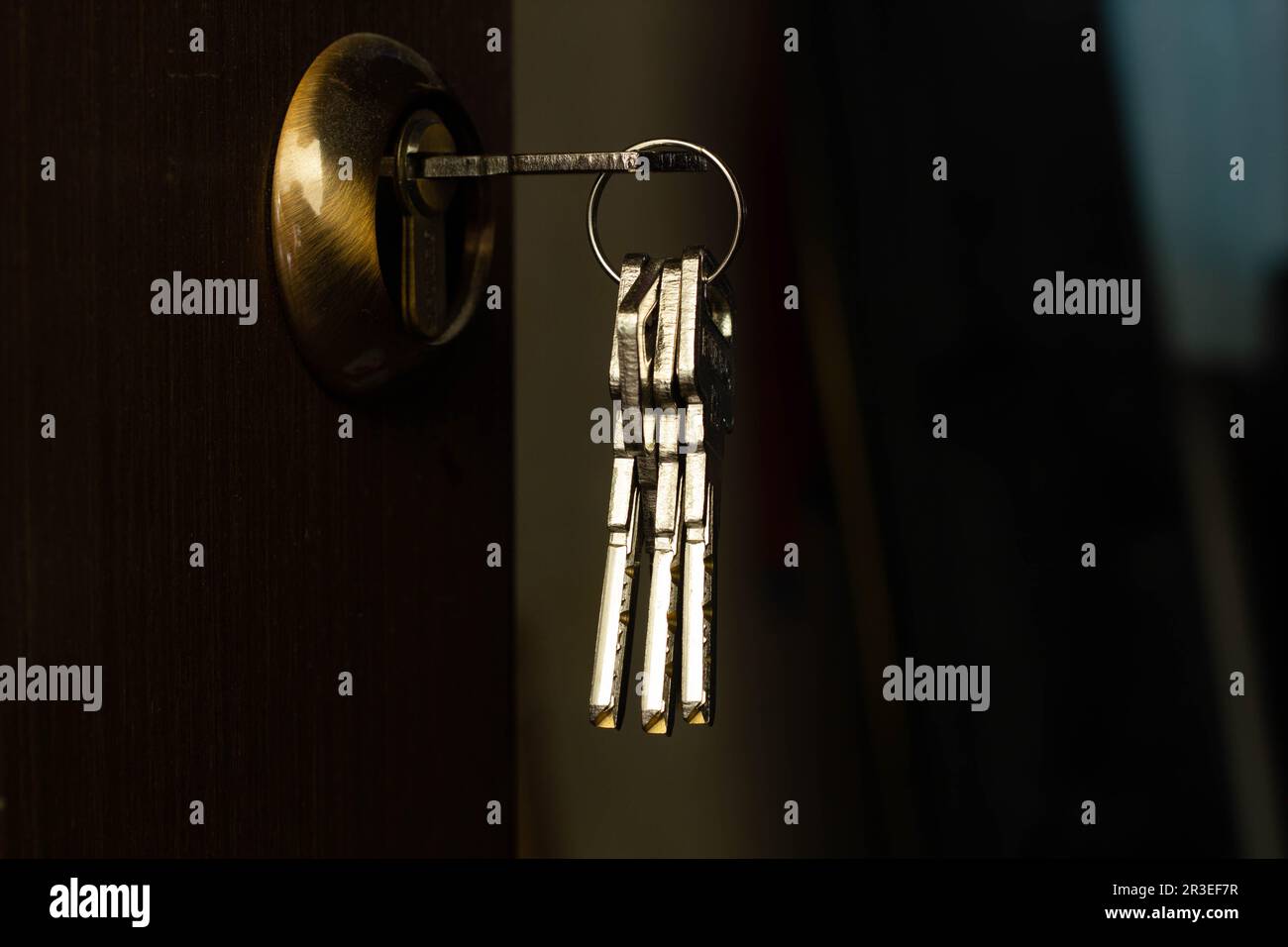 Bunch of keys sticks out of the door lock. Stainless steel keys
