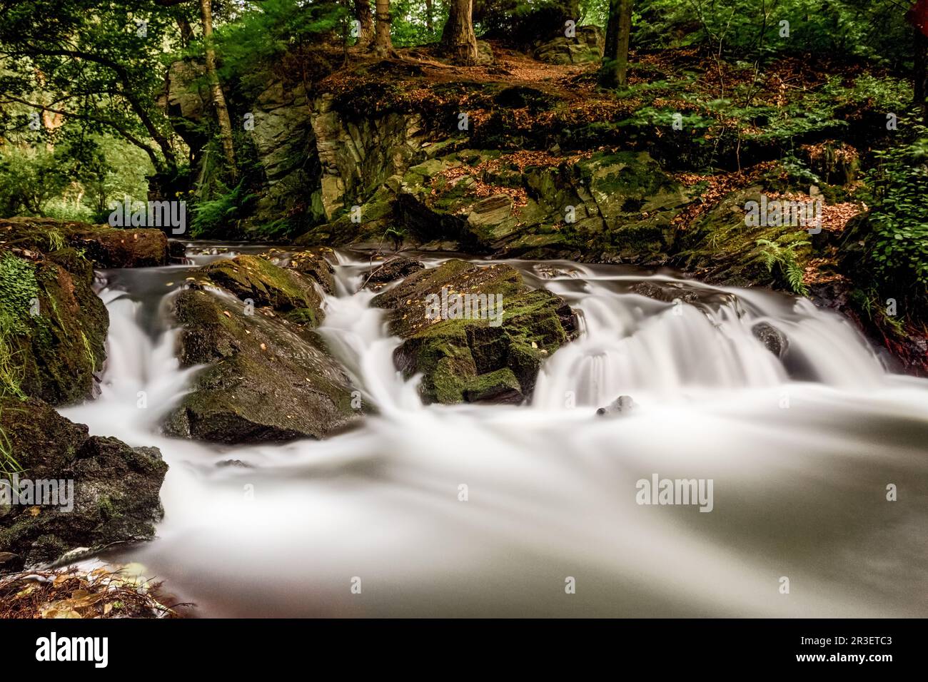 Nature experience Selke waterfall in the Harz wild romantic Selke valley Stock Photo