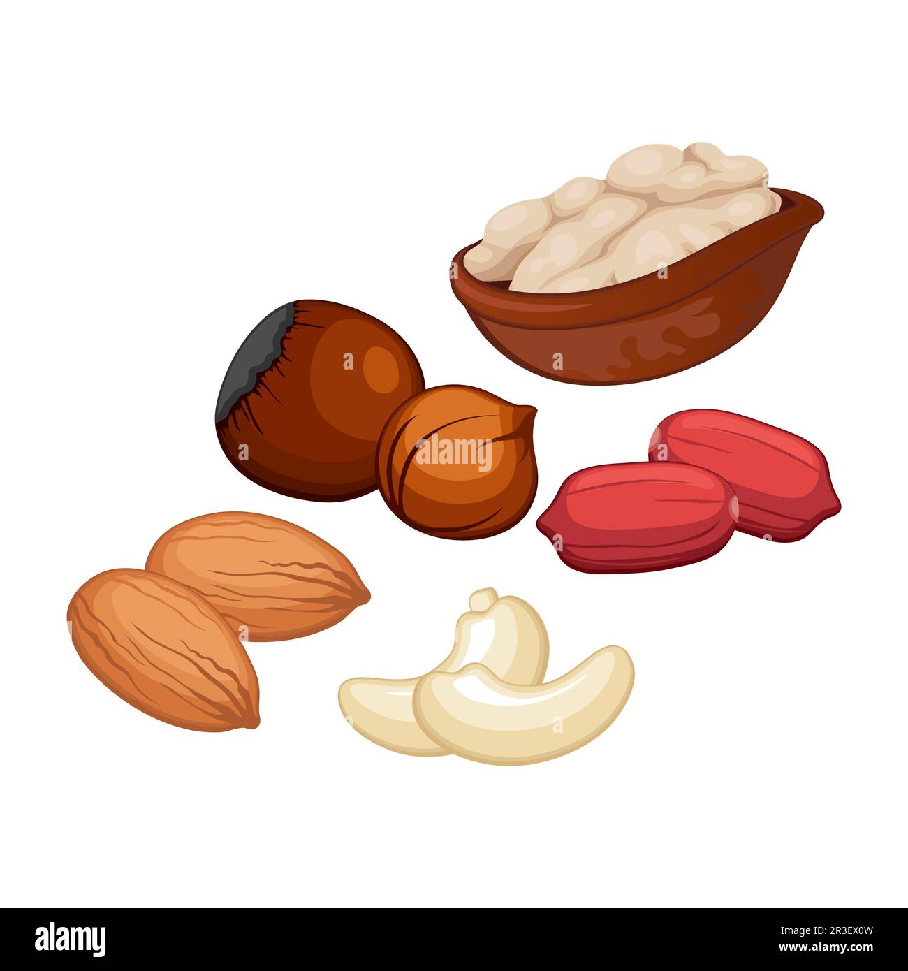Set of 5 pieces of different types of nuts on a white background Stock