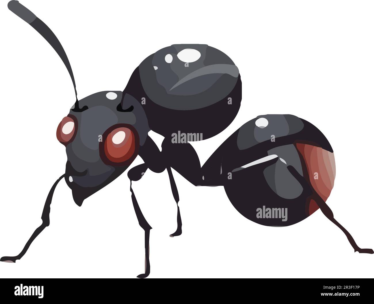 Small insect ant carries food on antenna Stock Vector Image & Art Alamy