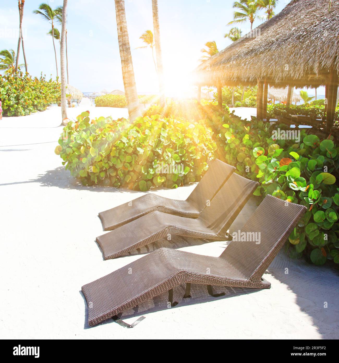 Wooden deck chairs on sandy beach near sea. Holiday background Stock ...