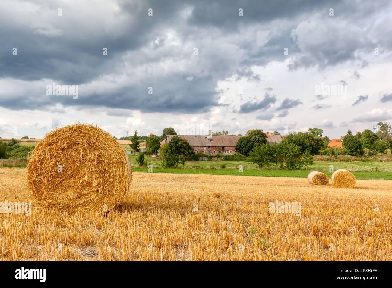 Simple Field Straw Prop Field with straw rolls in resin Stock Photo - Alamy