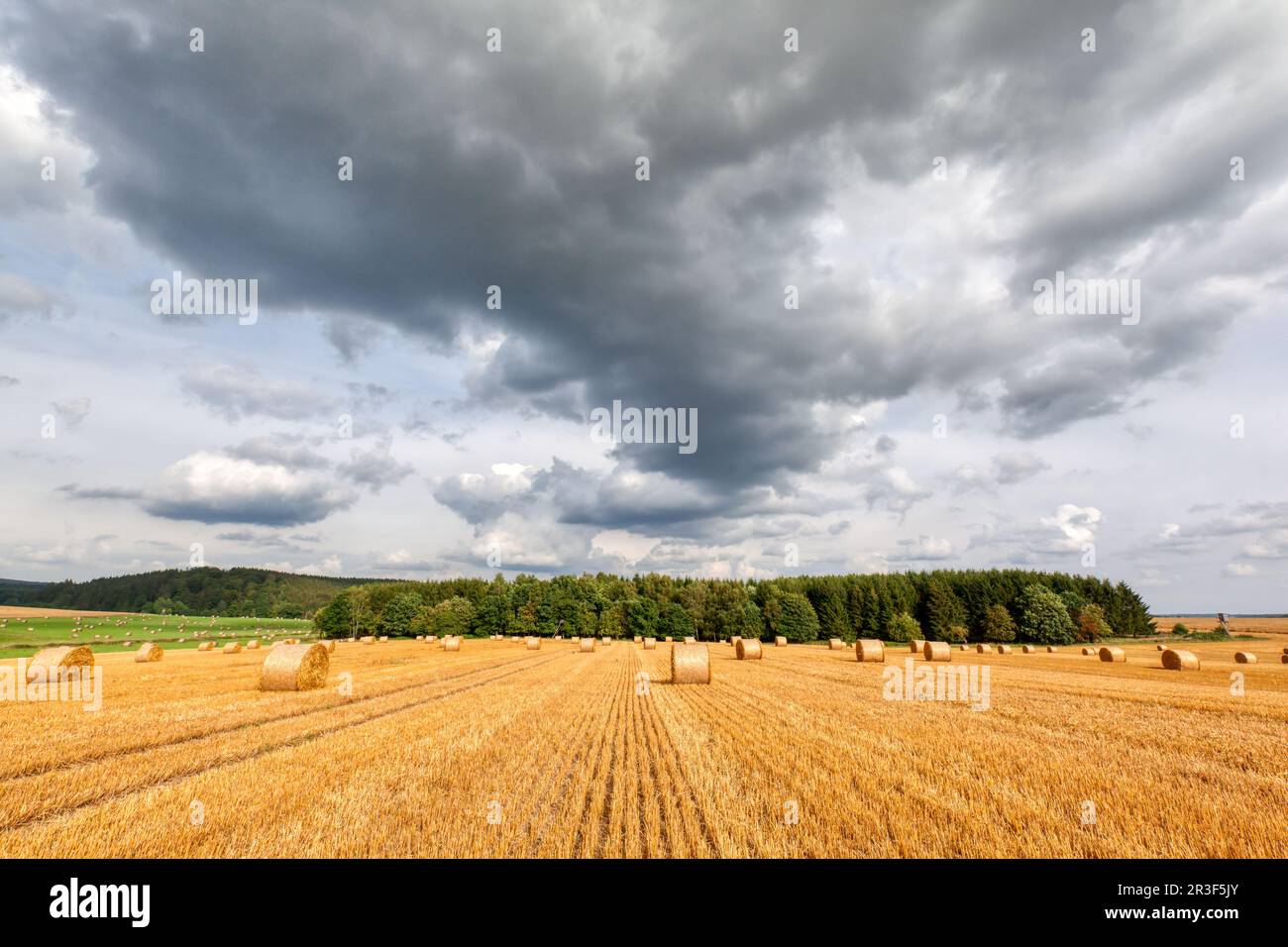 Simple Field Straw Prop Field with straw rolls in resin Stock Photo - Alamy
