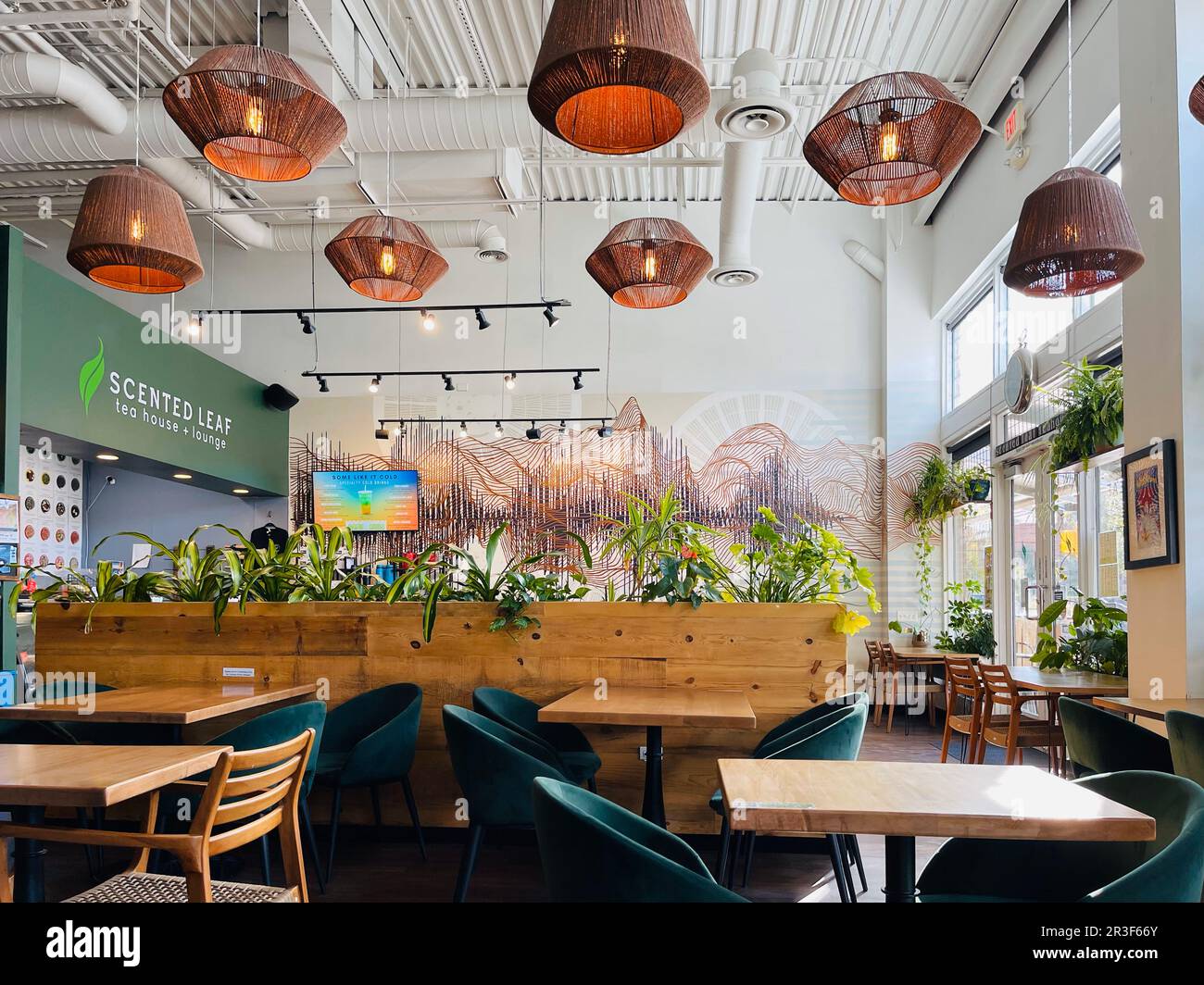 Inside the trendy Scented Leaf Tea House in Tucson AZ Stock Photo Alamy