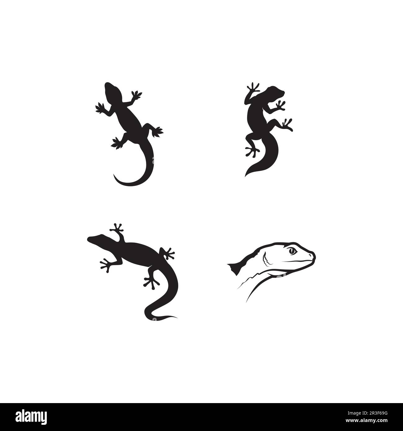 animal vector lizard salamander gecko crocodile and reptiles design ...