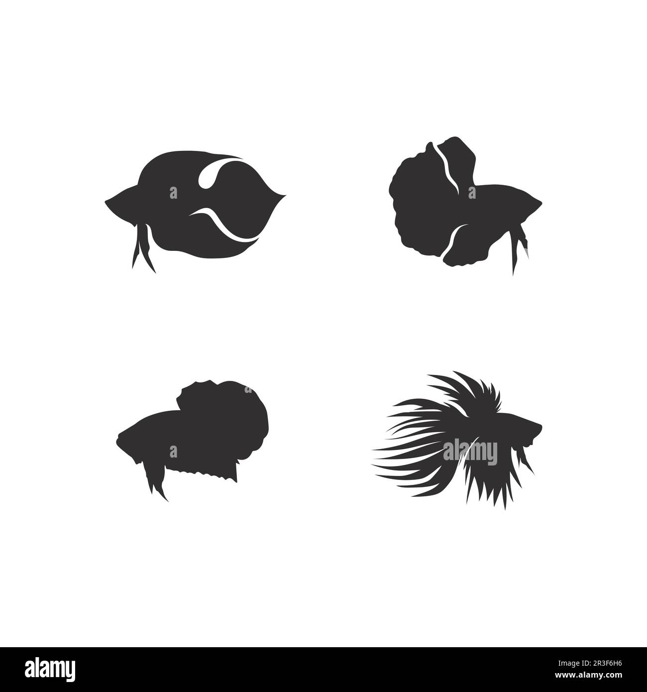 Fish animal aquatic logo beta fish design vector and illustration Stock