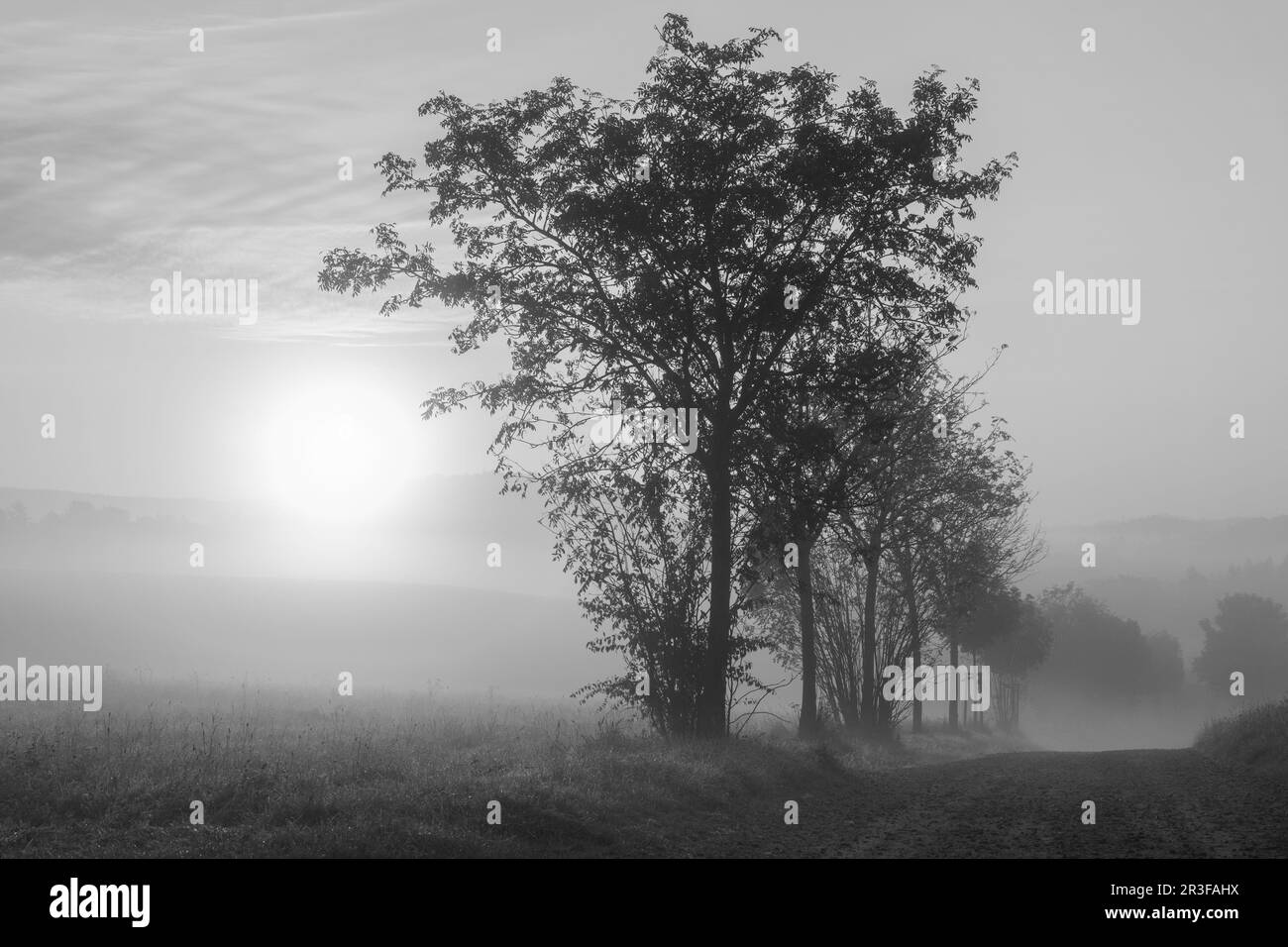 Sunrise with fog Black and White Stock Photos & Images - Alamy