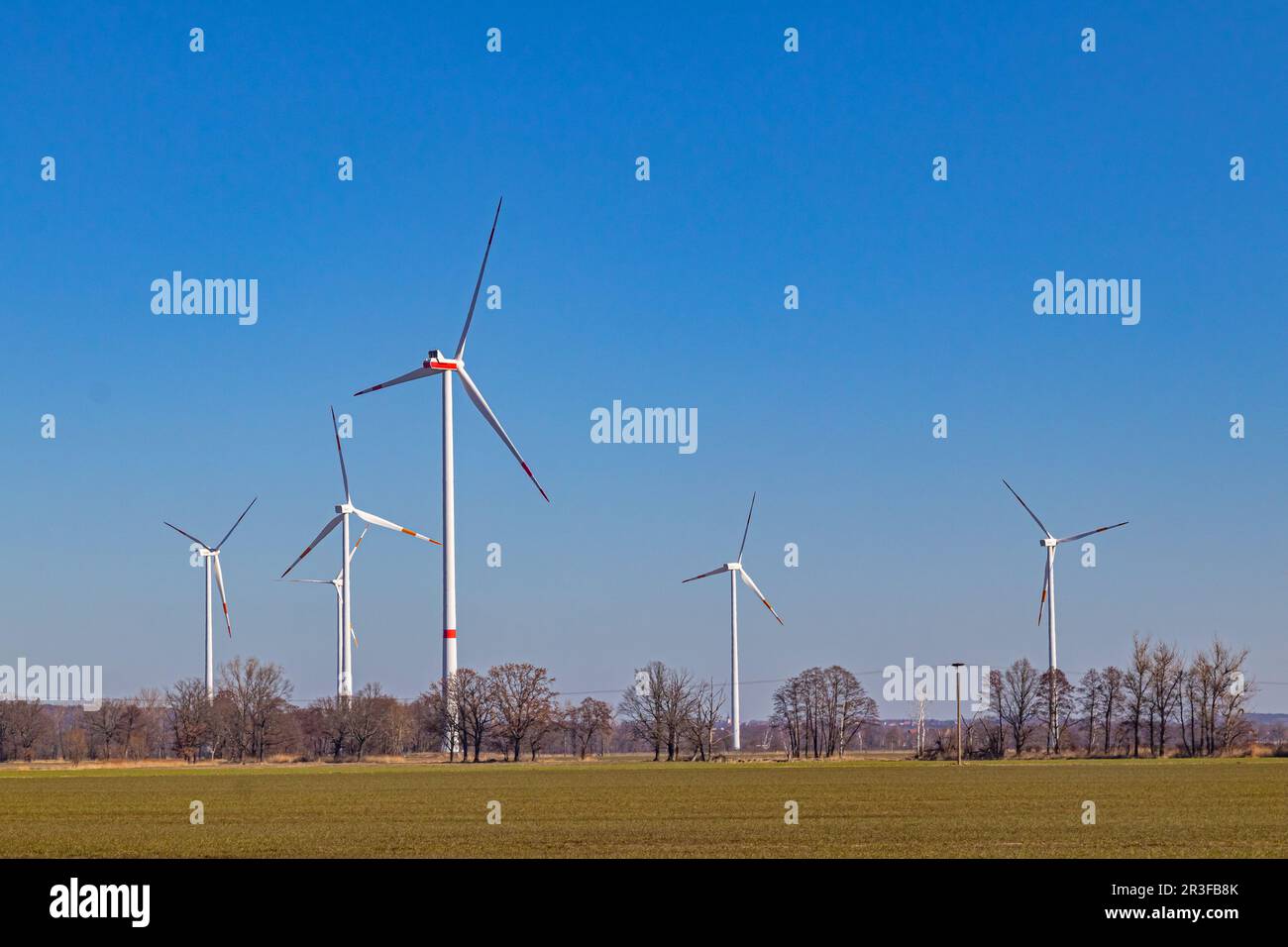 Wind farm near Elsterwerda Stock Photo