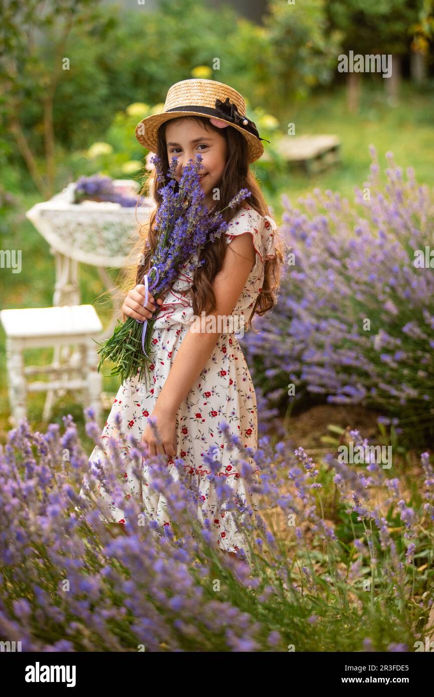 Beautiful long hair girl near lavender bushes Stock Photo