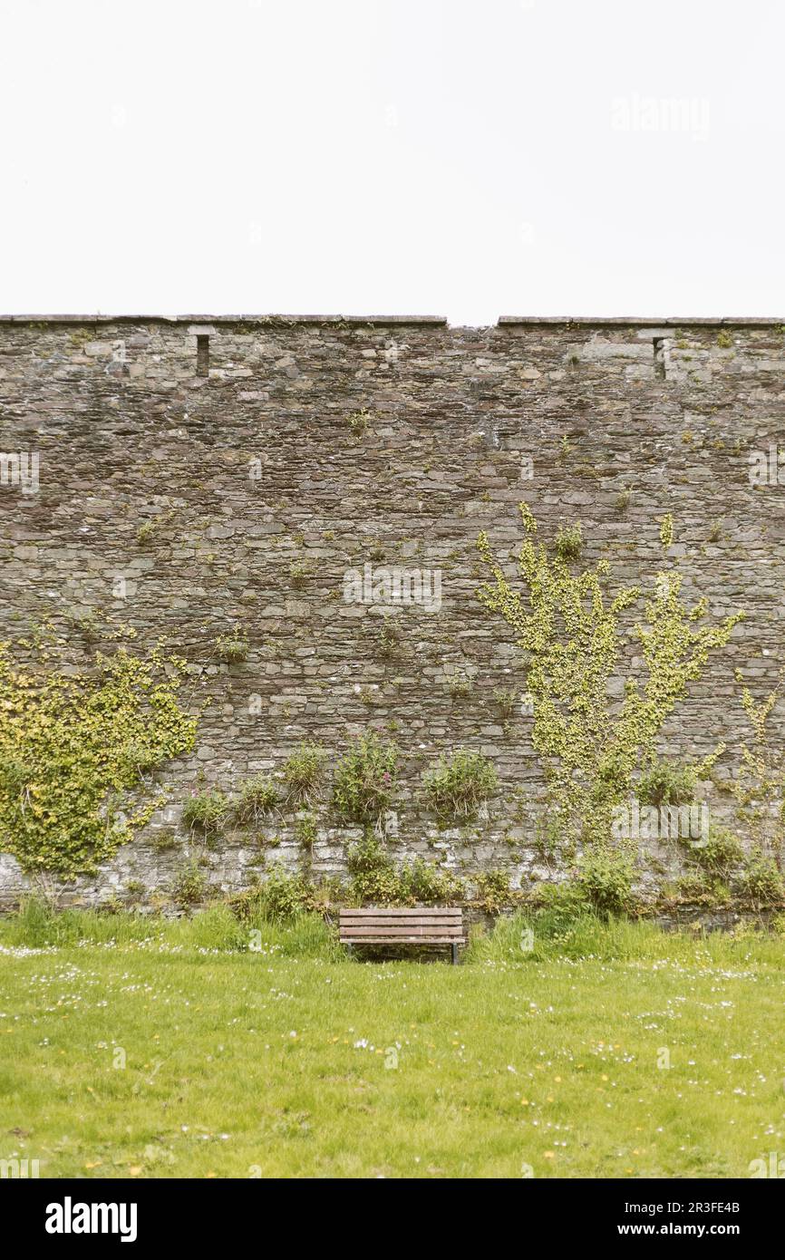 A bench next to a giant stone wall covered in ivy and other greenery ...