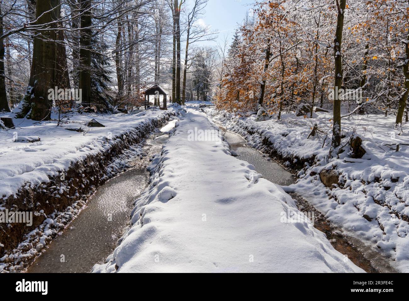 Winter hike in the Schluckenauer Zipfel/Czech Republic Stock Photo