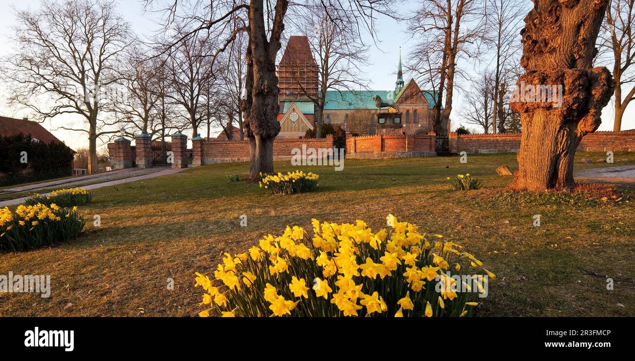 Ratzeburg Cathedral in spring, Ratzeburg, Schleswig-Holstein, Germany ...