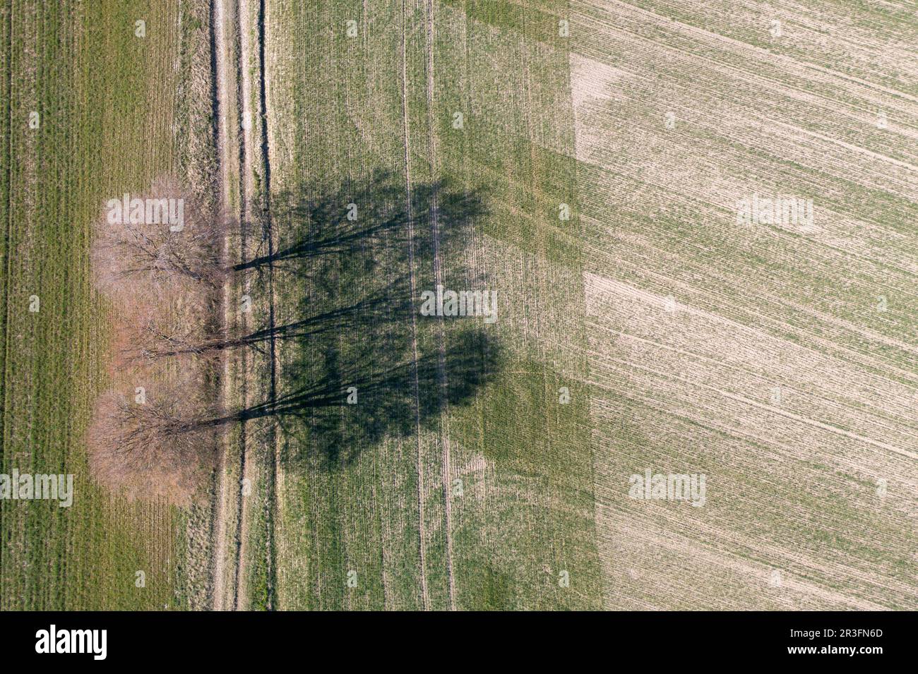Aerial view of trees hi-res stock photography and images - Alamy