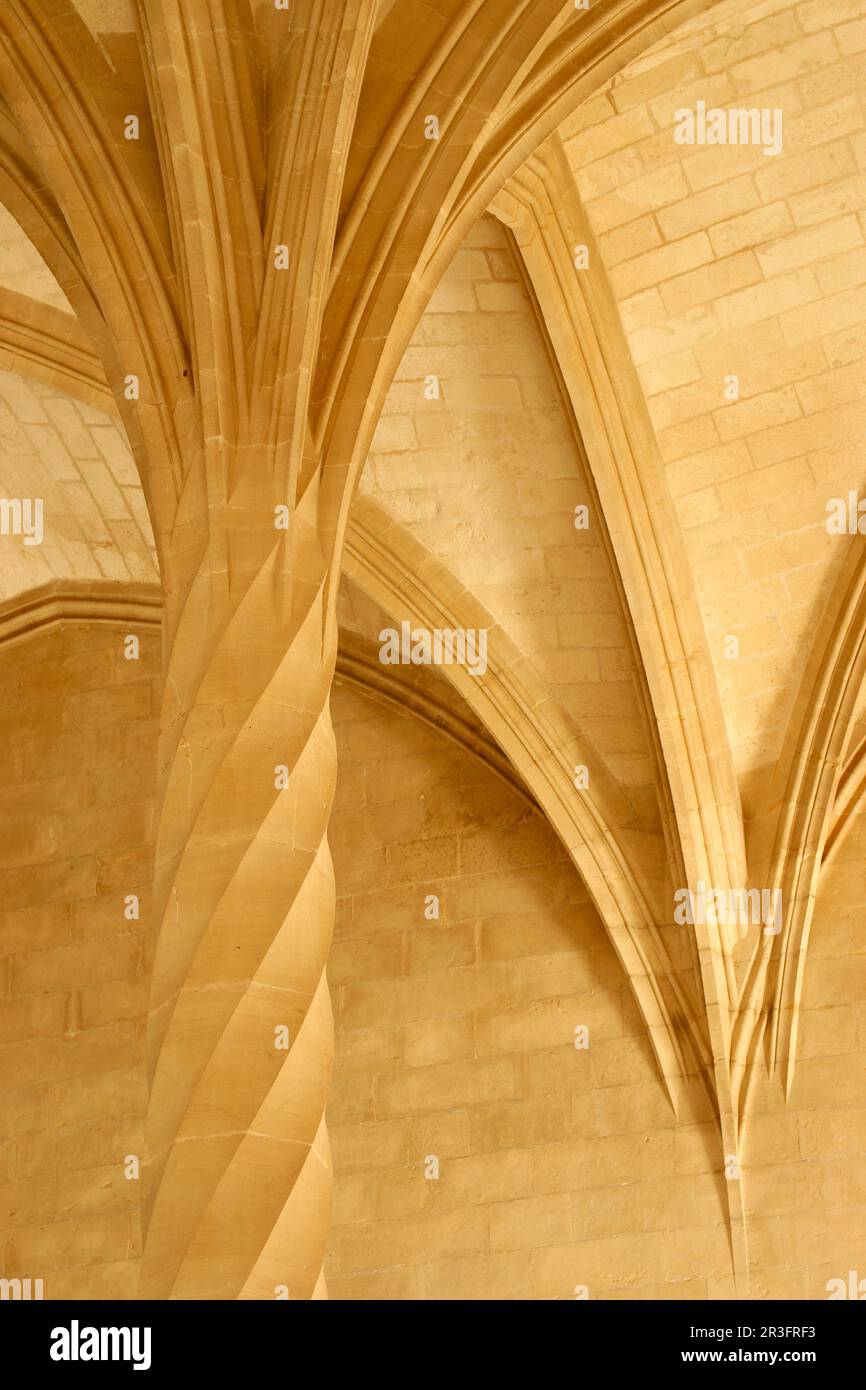 Columnas estriadas en espiral.La Llotja , siglo XV.Palma.Mallorca.Islas Baleares. España. Stock Photo