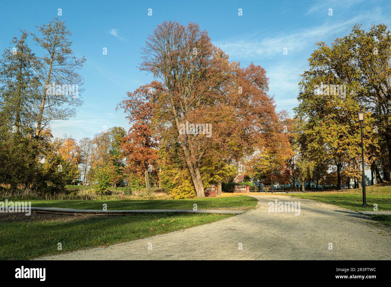 Picturesque view of park with beautiful trees and pathway on sunny day ...