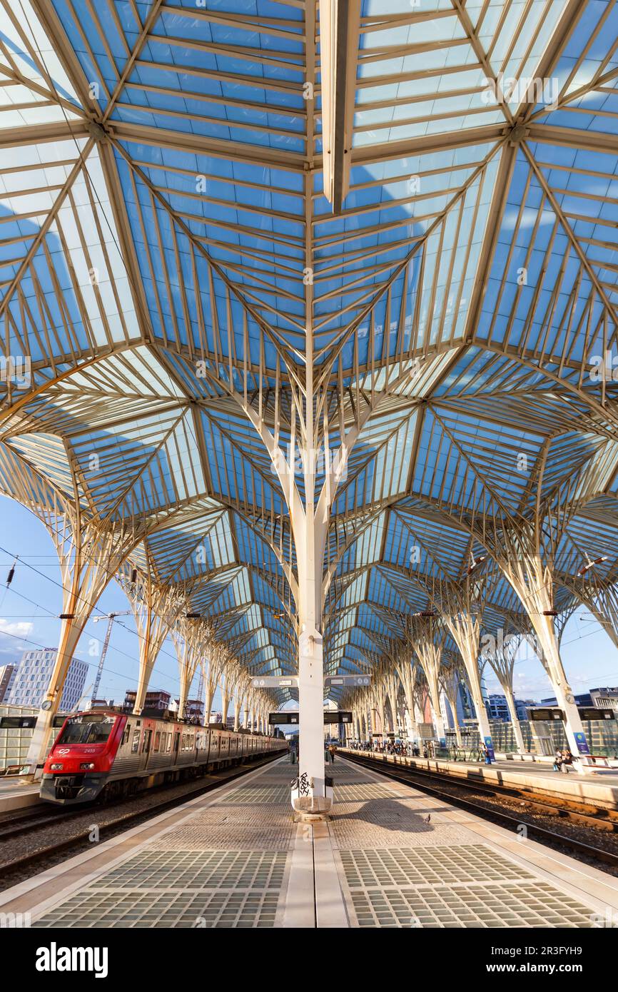Train in Lisbon Lisboa Oriente station in Portugal modern railway railroad architecture vertical format Stock Photo