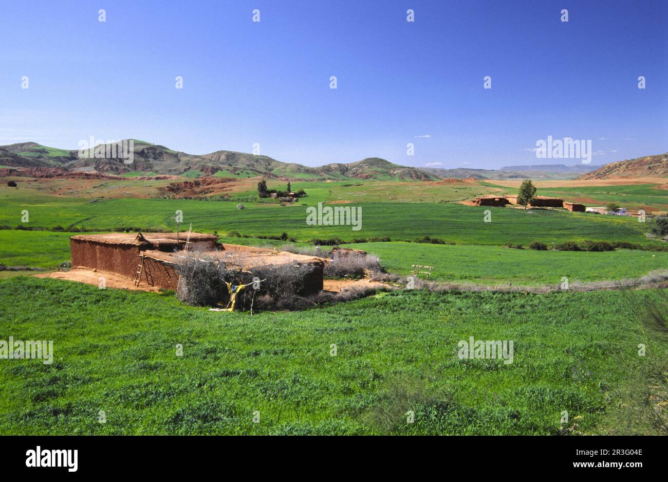 Campo de cultivo de cereales hi-res stock photography and images - Alamy