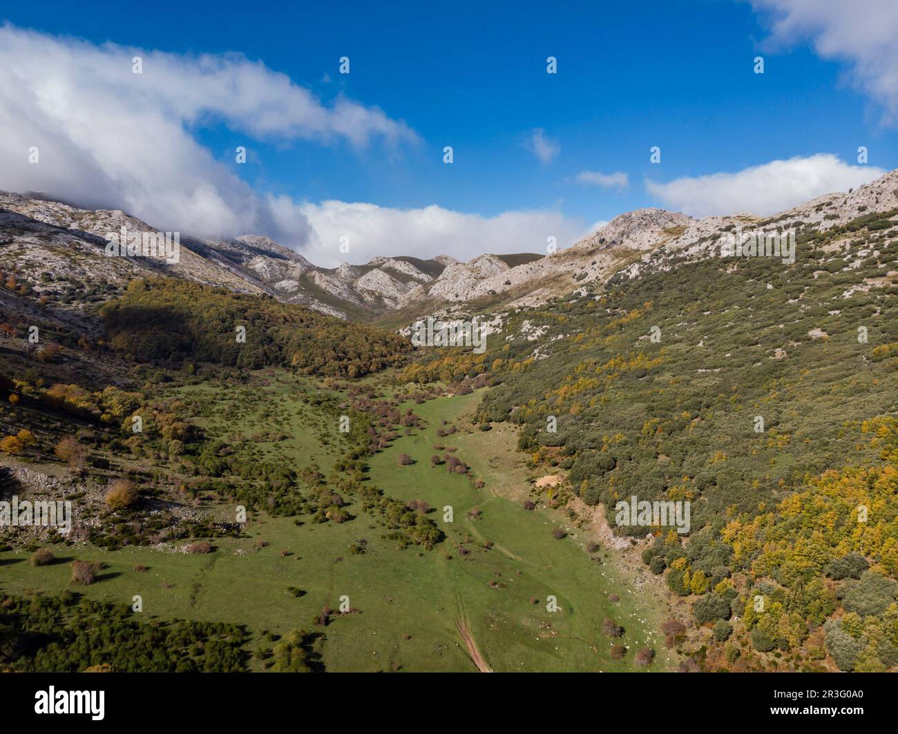 Tosande valley. Fuentes Carrionas Natural Park, Fuente Cobre- Palentina Mountain. Palencia, Spain. Stock Photo
