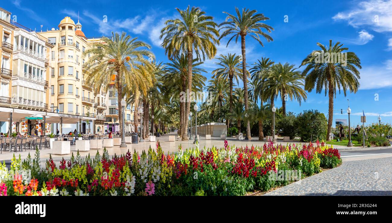 Alicante Alacant Boulevard Esplanada d'Espanya vacation travel city panorama in Spain Stock Photo