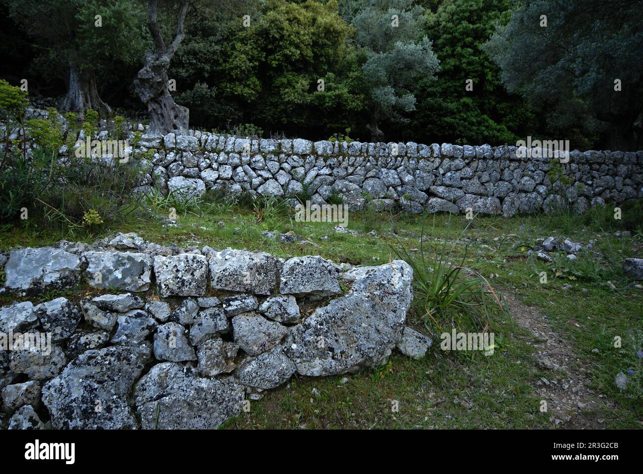 Muro de piedra tradicional hi-res stock photography and images - Alamy