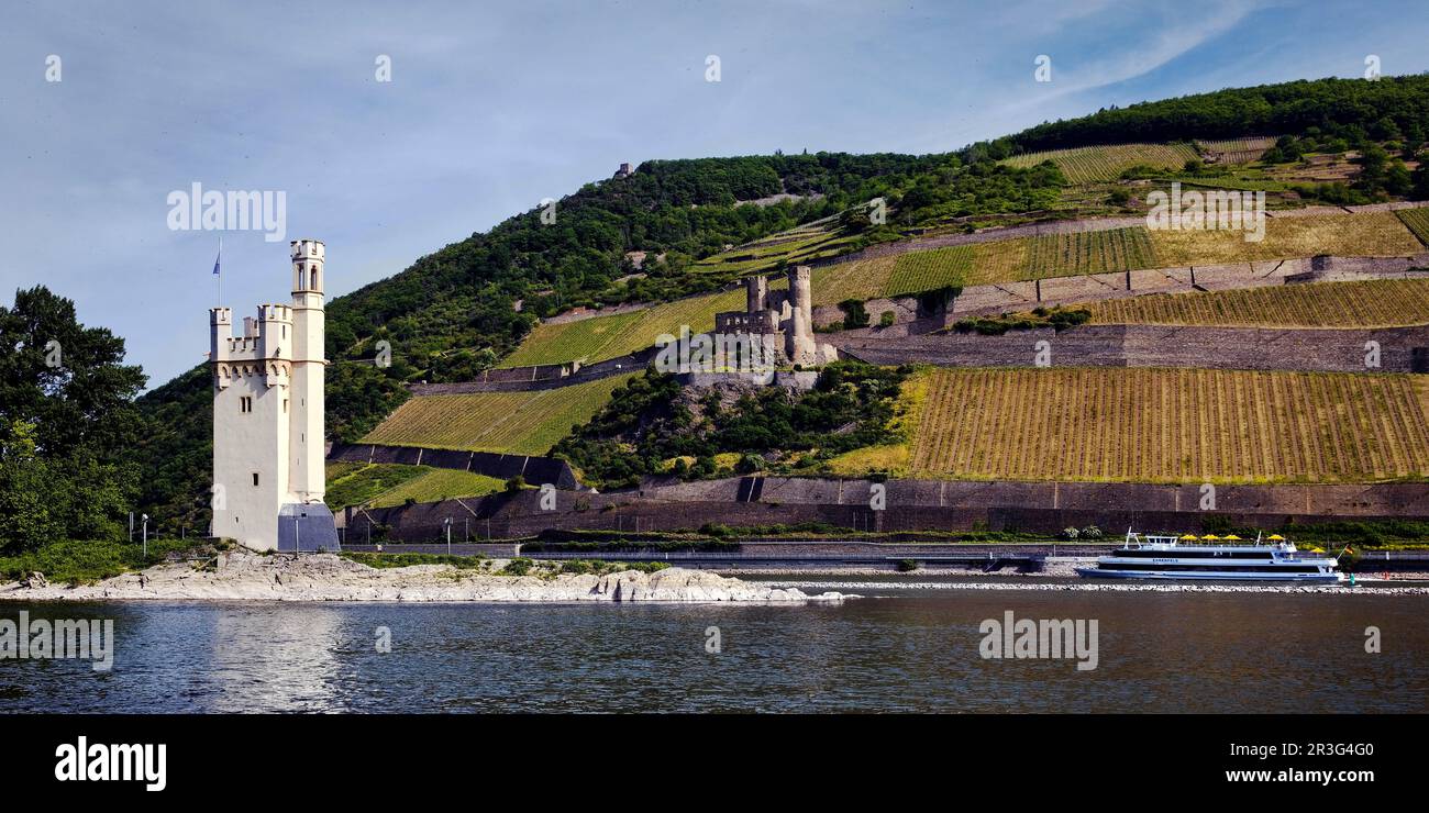Binger Maeuseturm und Burg Ehrenfels, Oberes Mittelrheintal, Bingen und