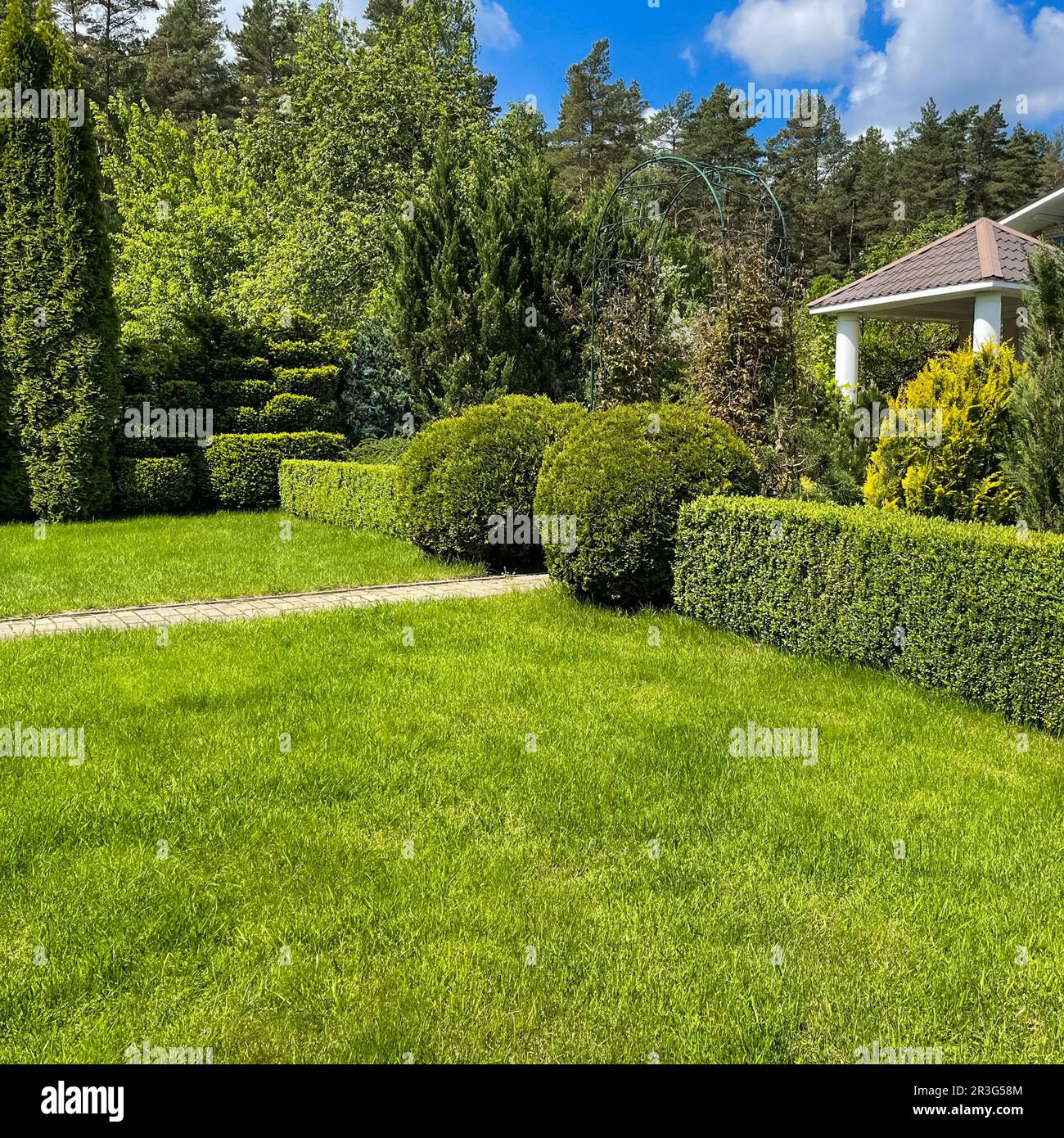 Landscapes plants hi-res stock photography and images - Page 2 - Alamy