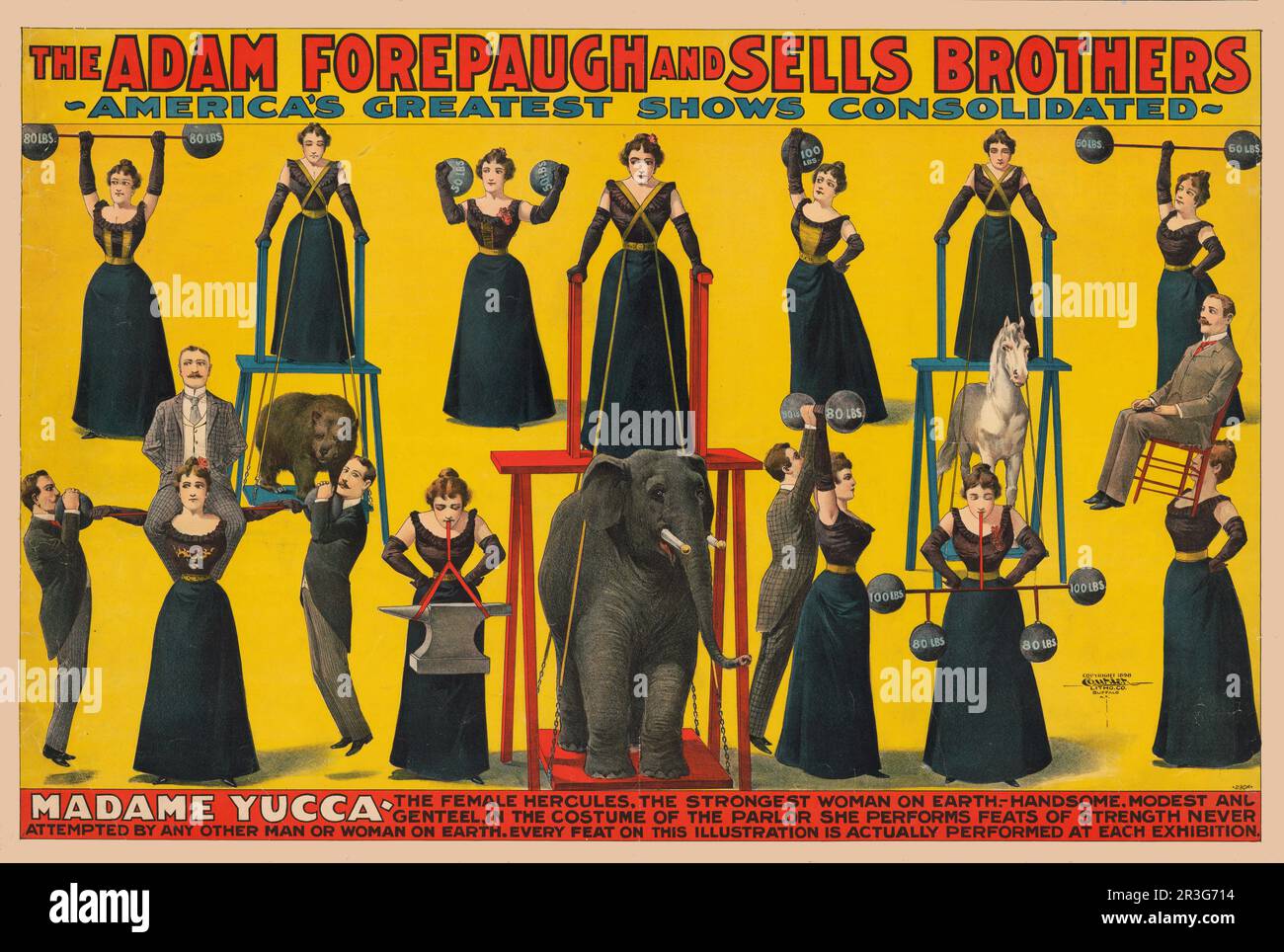 Vintage Adam Forepaugh and Sells Brothers circus poster of Madame Yucca lifting weights, people, and animals, circa 1898. Stock Photo