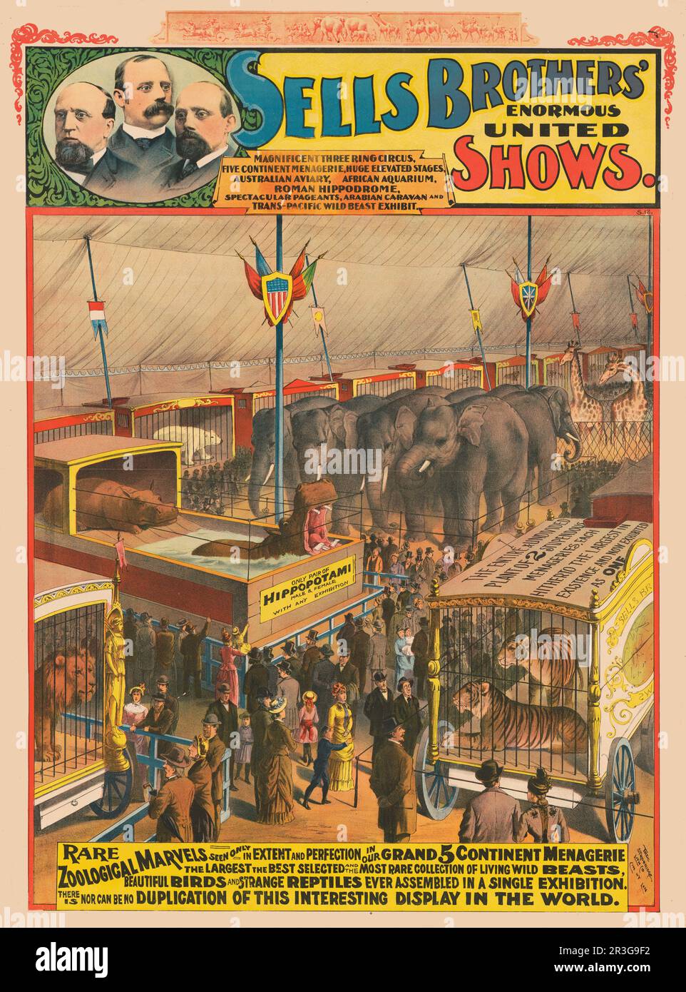 Vintage Sells Brothers' circus poster showing animals on exhibit in a tent, circa 1895. Stock Photo
