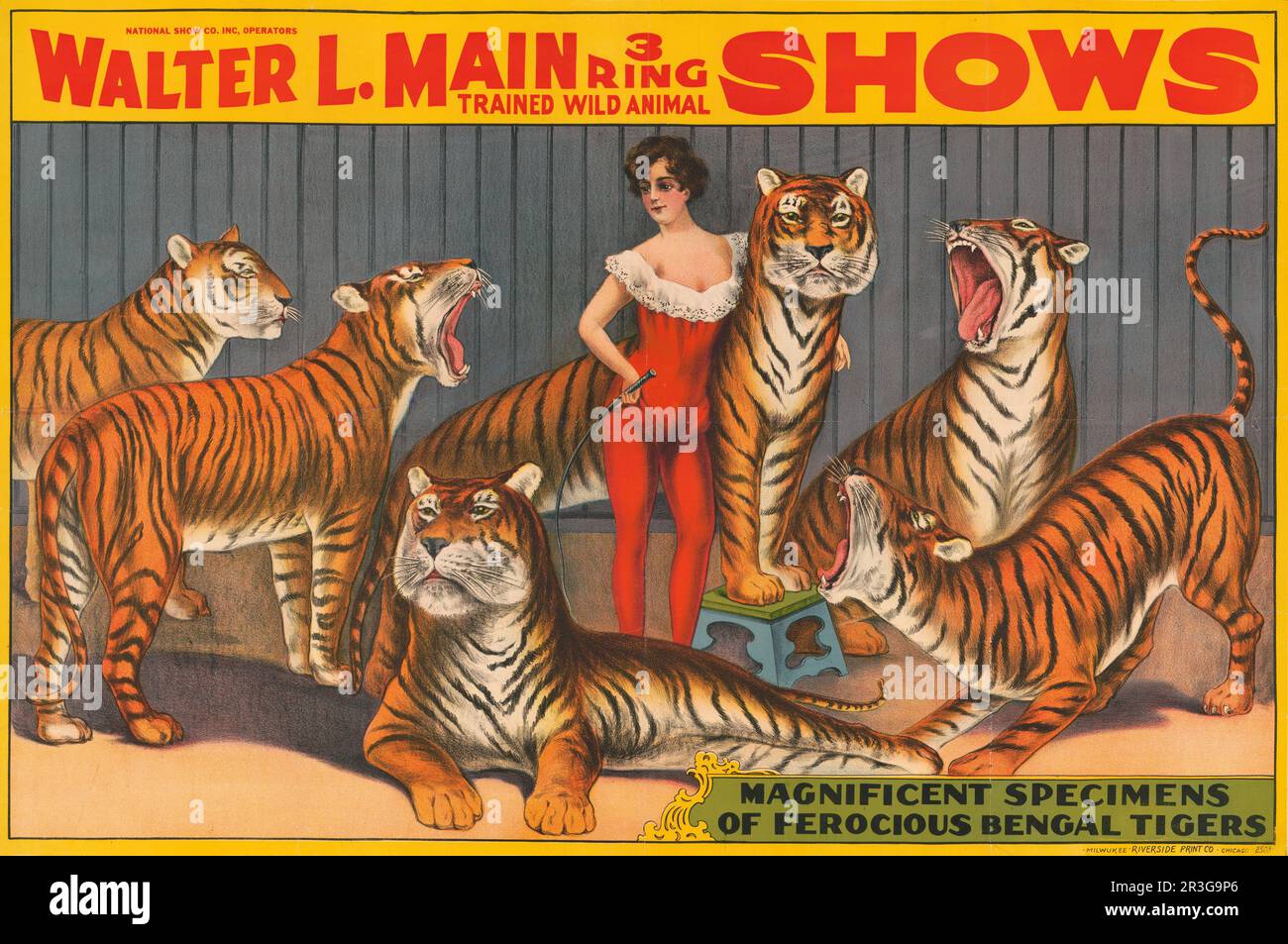Vintage circus poster showing woman with six tigers. Stock Photo